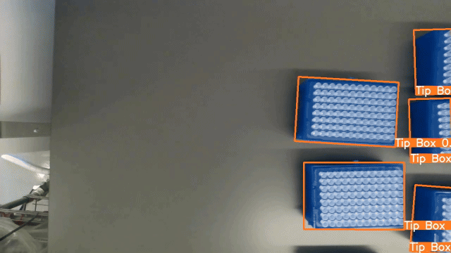 Live object detection