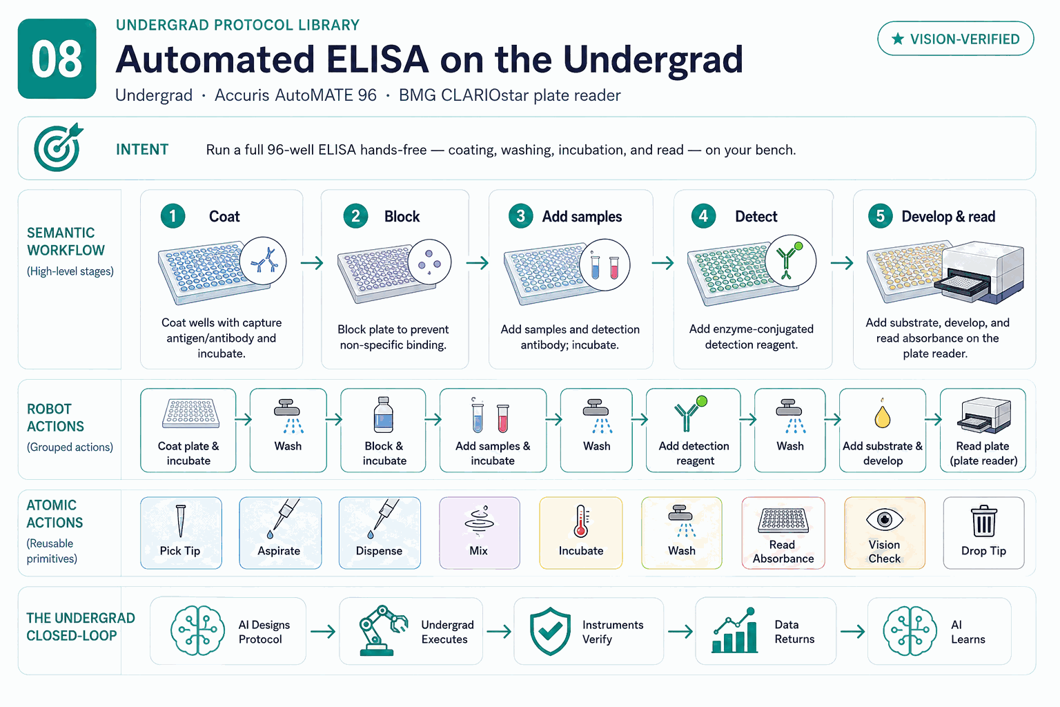 Four-layer architecture diagram for Automated ELISA on the Undergrad: intent, semantic workflow, robot actions, and atomic actions.