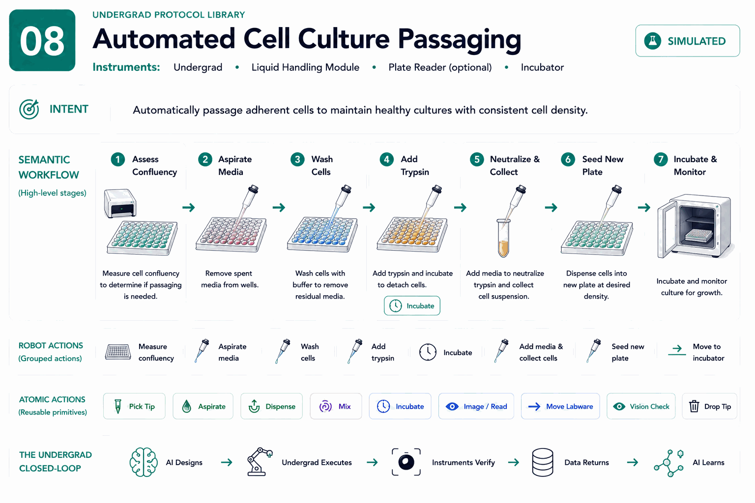 Four-layer architecture diagram for Automated Cell Culture Passaging: intent, semantic workflow, robot actions, and atomic actions.