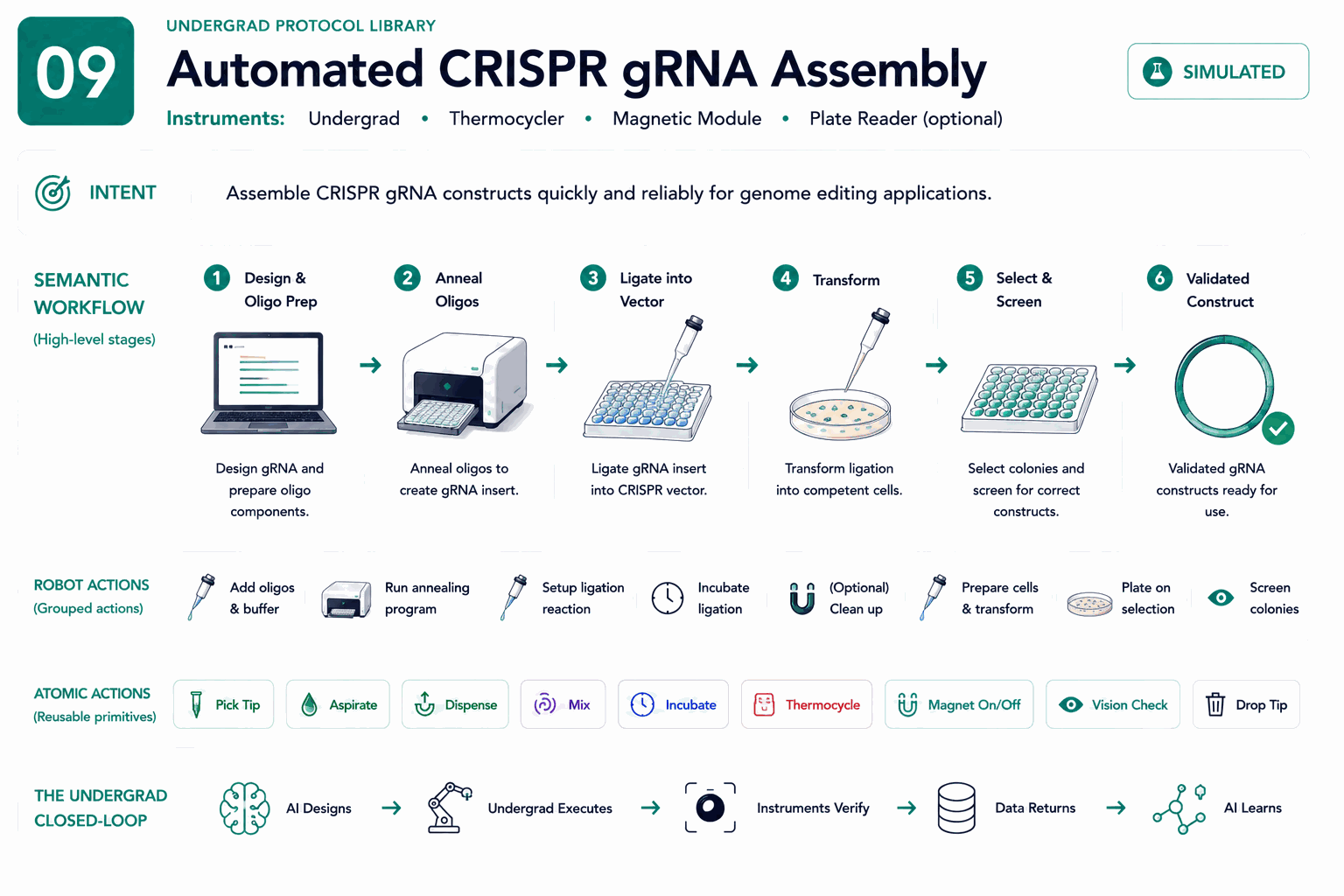 Four-layer architecture diagram for Automated CRISPR gRNA Assembly: intent, semantic workflow, robot actions, and atomic actions.