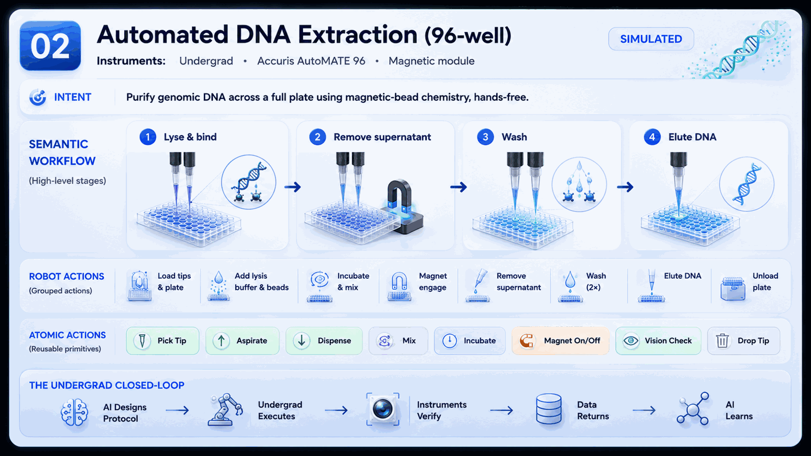 Four-layer architecture diagram for Automated DNA Extraction (96-well): intent, semantic workflow, robot actions, and atomic actions.