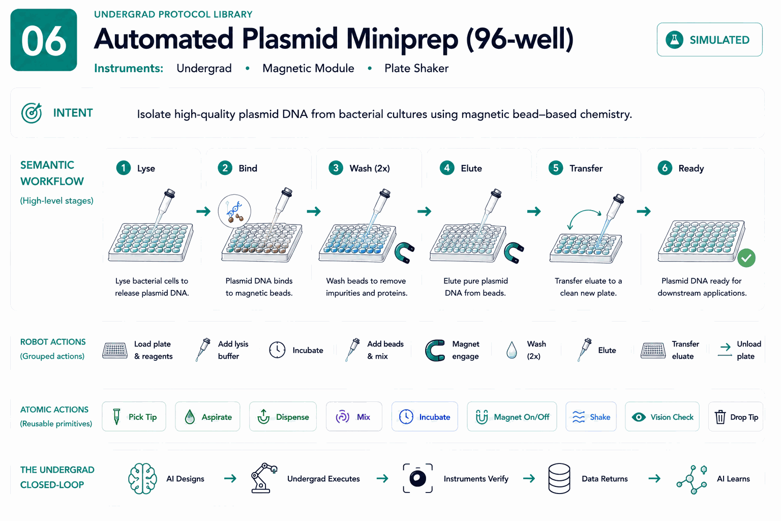 Four-layer architecture diagram for Automated Plasmid Miniprep (96-well): intent, semantic workflow, robot actions, and atomic actions.