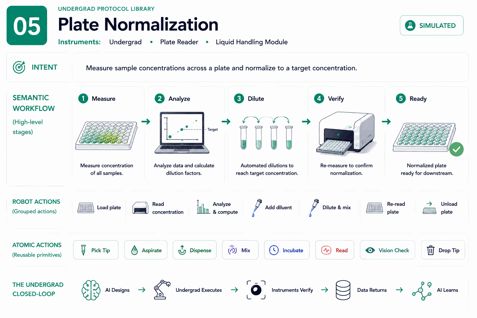 Four-layer architecture diagram for Automated Plate Normalization & Cherry-Picking: intent, semantic workflow, robot actions, and atomic actions.